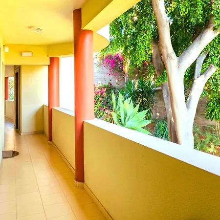 Verandas Lux By Ymr * Funchal (Madeira)